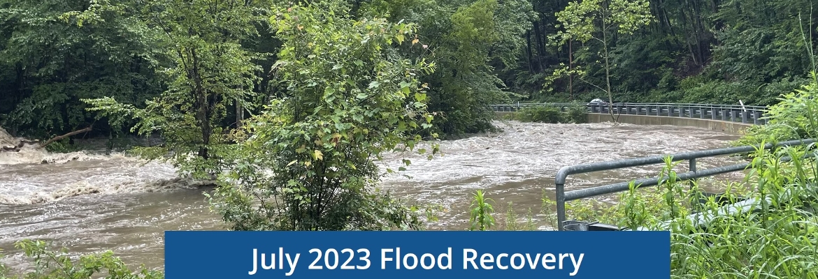 State Flood Recovery Resources for Residents and Businesses
